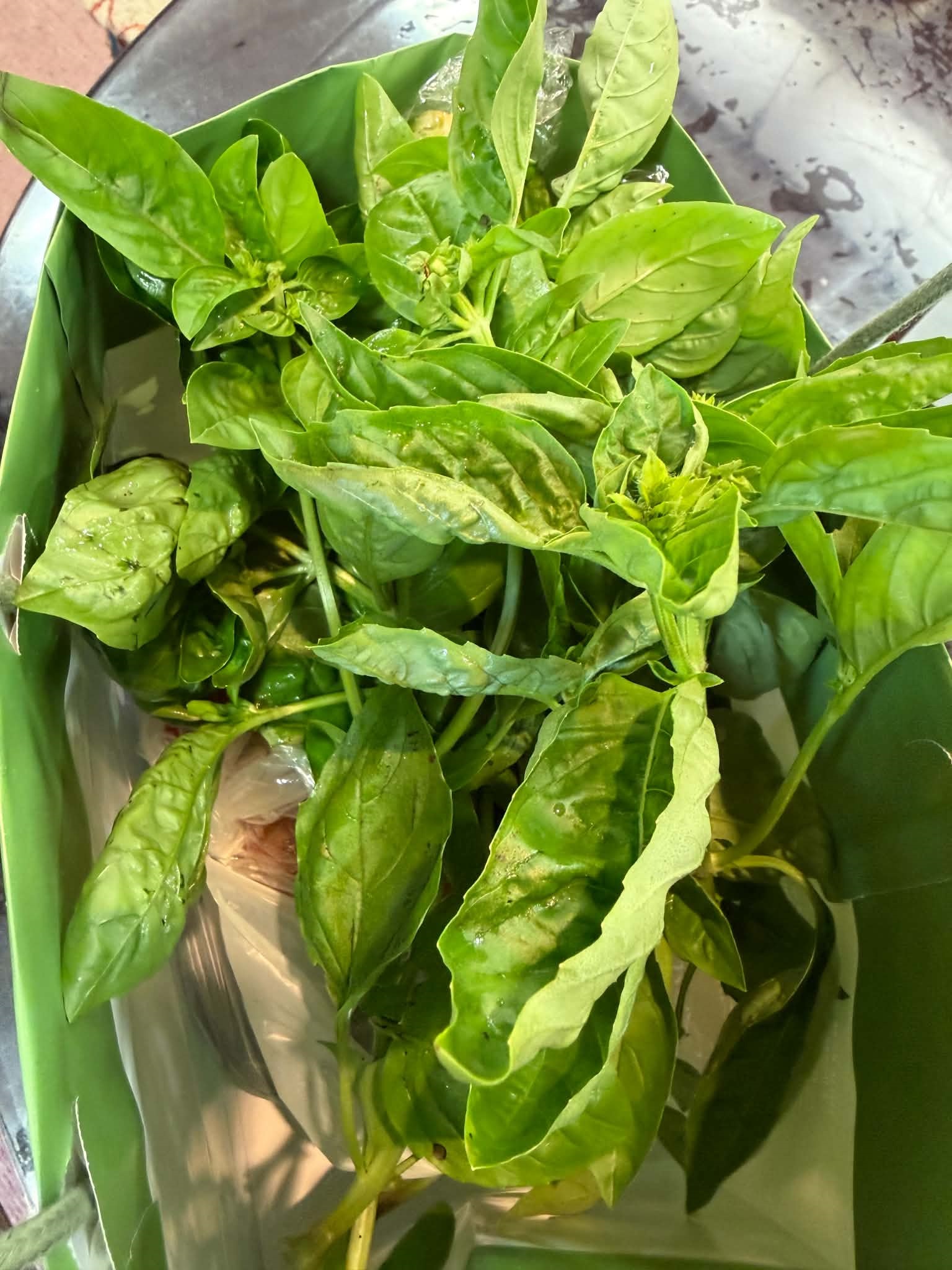 旬のお野菜